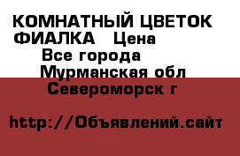 КОМНАТНЫЙ ЦВЕТОК -ФИАЛКА › Цена ­ 1 500 - Все города  »    . Мурманская обл.,Североморск г.